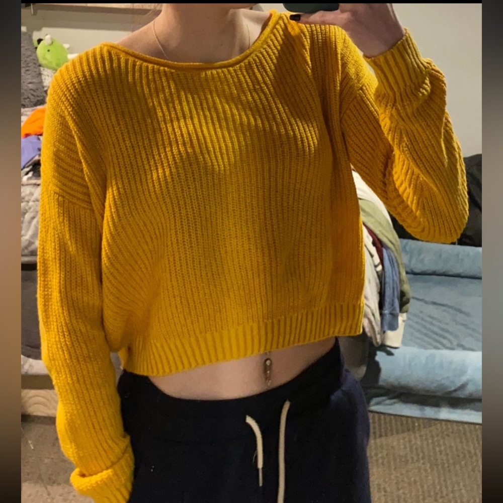 Wild fable cropped sweater